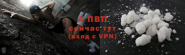 сатива Лагань