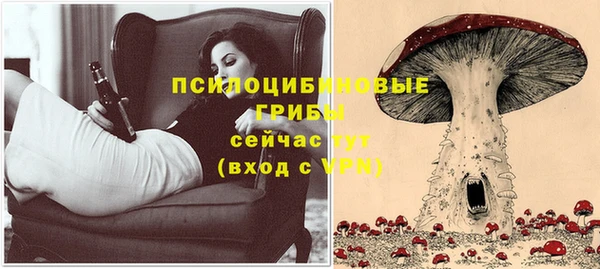 сатива Лагань