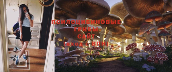 спайс Ладушкин